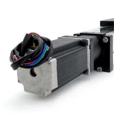 Ball Screw Linear Actuator Linear Motion Module High Positioning Ball Screw Linear Slide Module for Gantry System