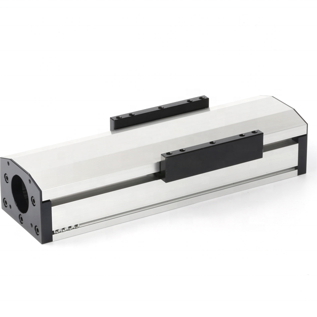 Linear Guide Rail Trapezoidal Lead Screw Driven Linear Module Linear Stage Screw Slide Table Module